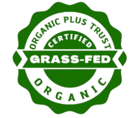 Certification 5